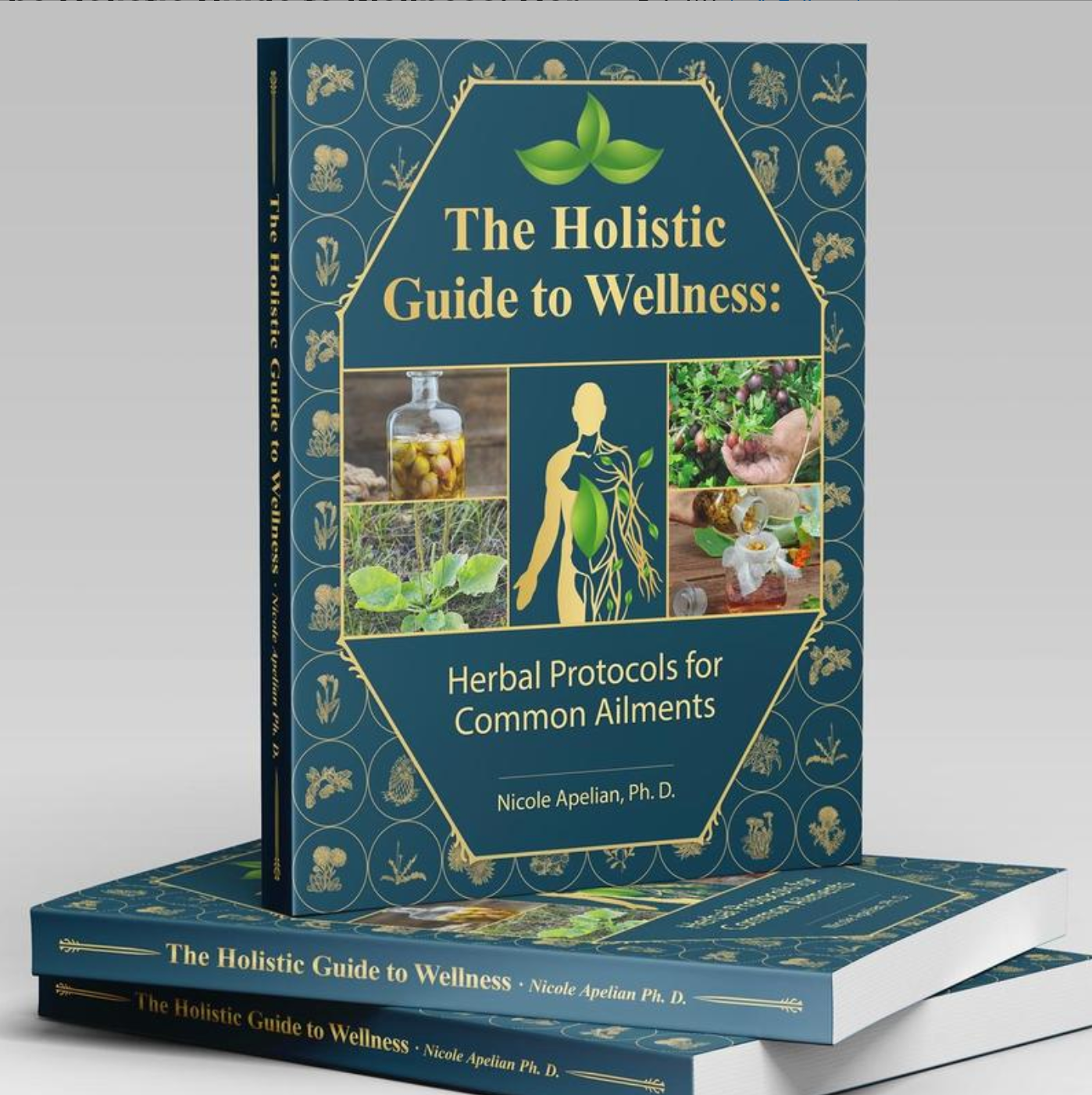 xThe Holistic Guide to Wellness: Herbal Protocols for Common Ailments