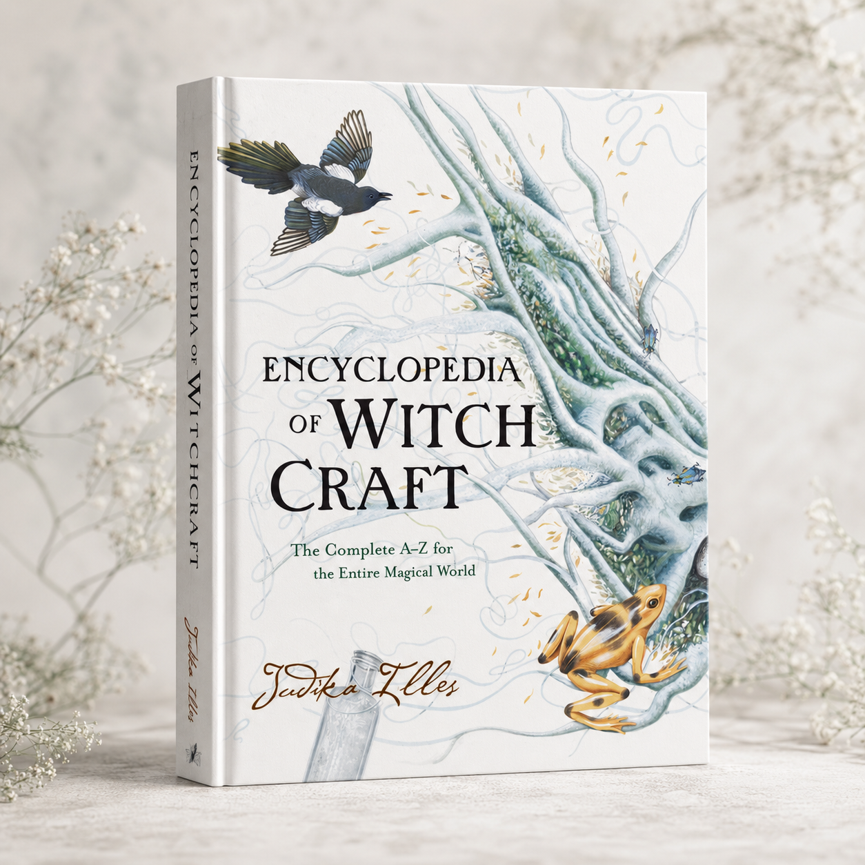 Encyclopedia of Witchcraft